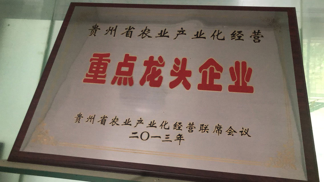 2013年重點龍頭企業(yè)