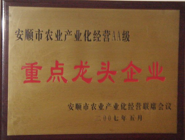 重點龍頭企業(yè)